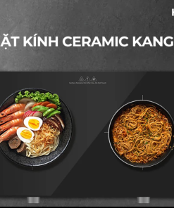 Bếp từ đôi Hafele HS-I5521FG