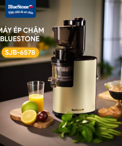 Máy Ép Chậm BlueStone SJB-6578 400W