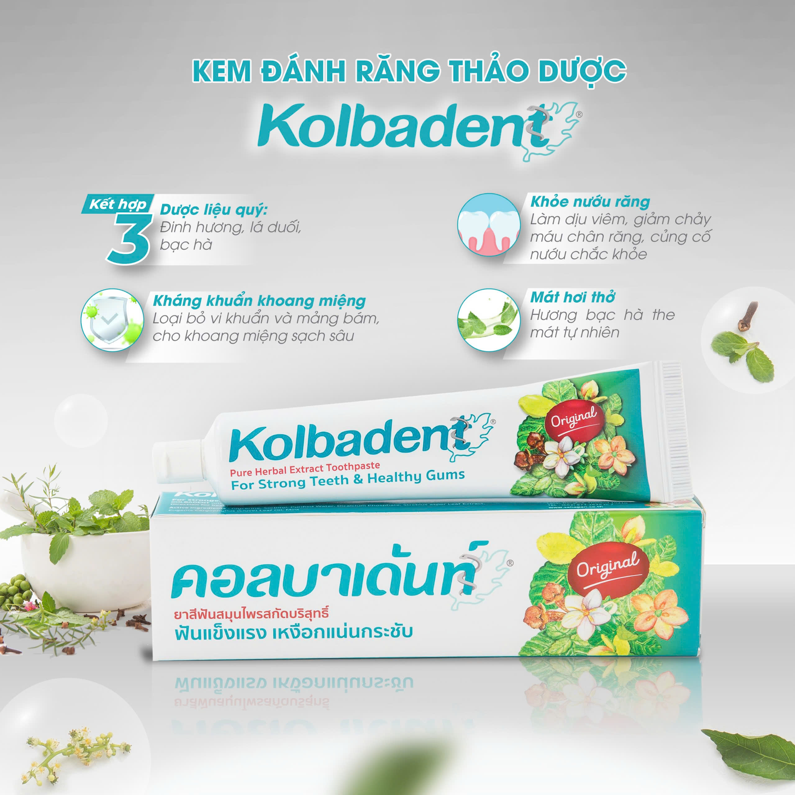 Kem đánh răng thảo dược thuần khiết Kolbadent Thái Lan 100g