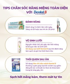 Kem đánh răng thảo dược thuần khiết Kolbadent Thái Lan 100g