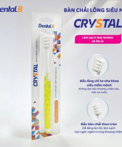 Bàn chải đánh răng người lớn Dental B