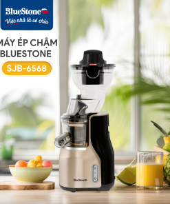 Máy Ép Chậm BlueStone SJB-6568 250W