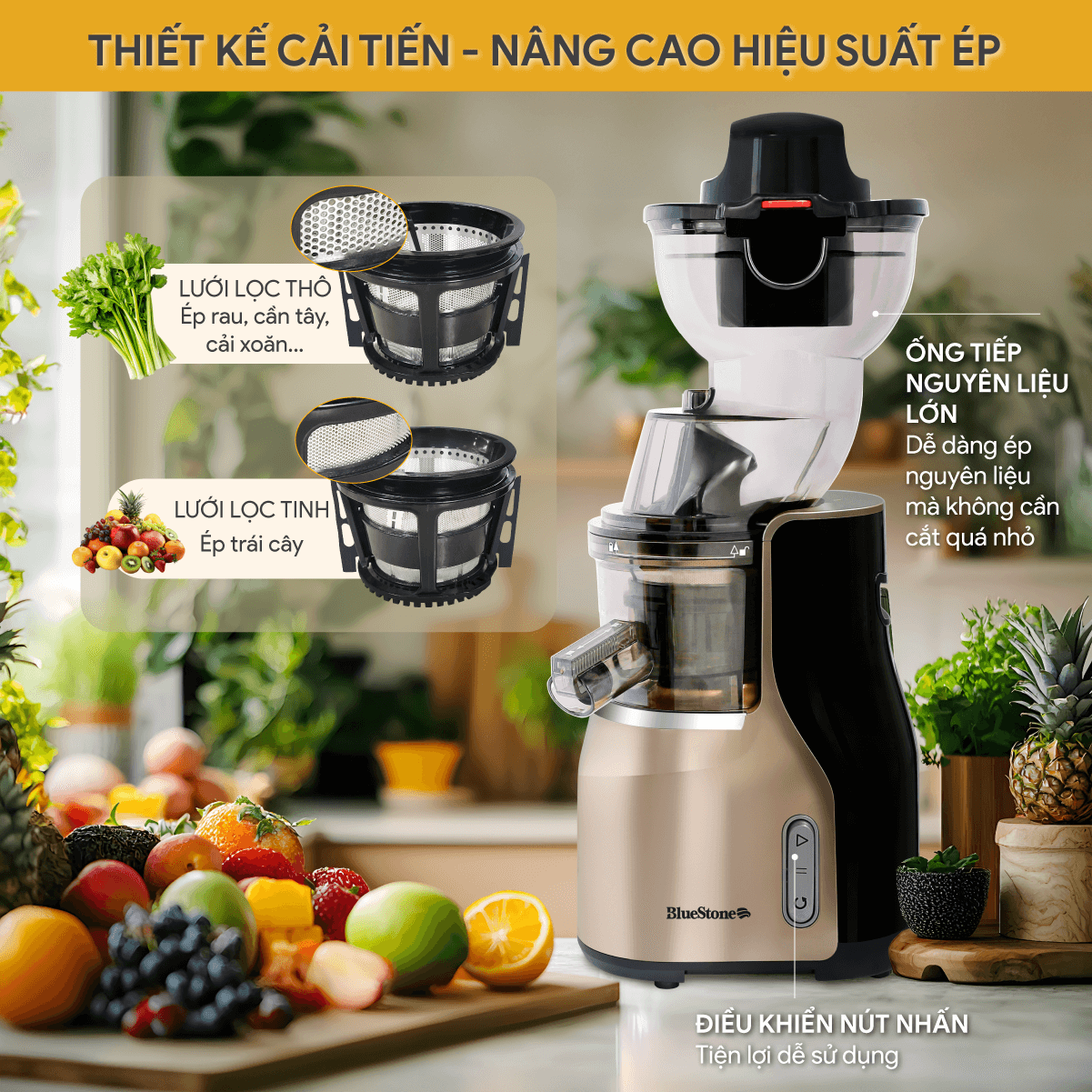 Máy Ép Chậm BlueStone SJB-6568 250W