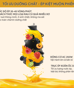 Máy Ép Chậm BlueStone SJB-6568 250W