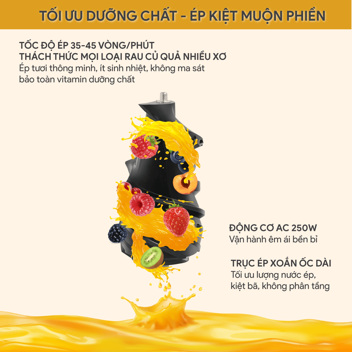 Máy Ép Chậm BlueStone SJB-6568 250W