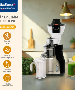 Máy Ép Chậm BlueStone SJB-6568 250W