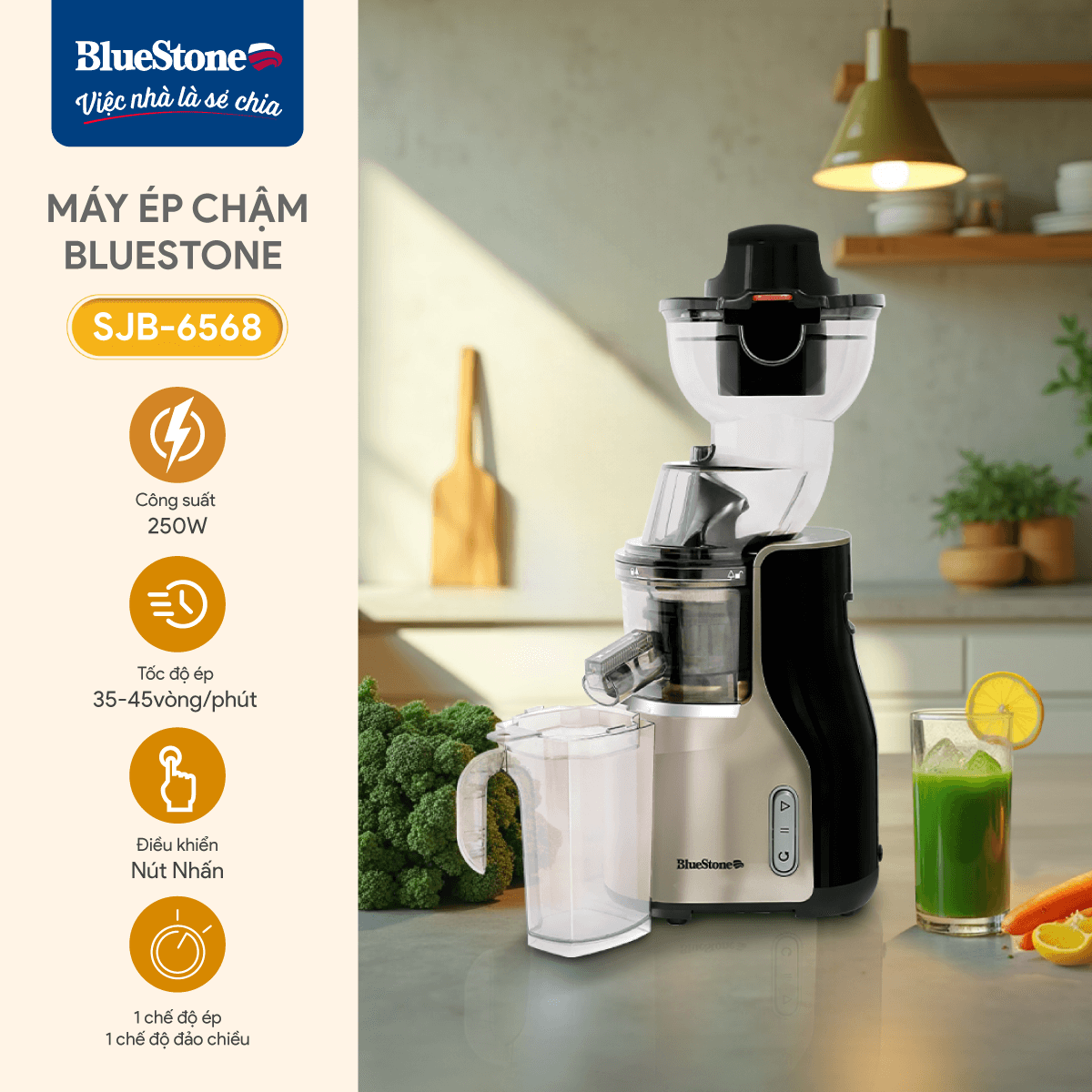 Máy Ép Chậm BlueStone SJB-6568 250W