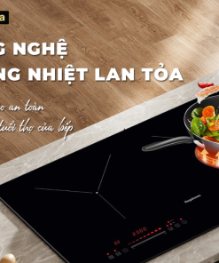 Bếp điện từ đôi Nagakawa NDI9192