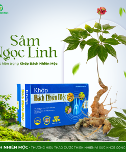 TPBVSK Khớp Bách Nhiên Mộc Hỗ trợ giảm các triệu chứng do viêm khớp, thoái hóa khớp, lão hóa khớp (Hộp 60 viên)