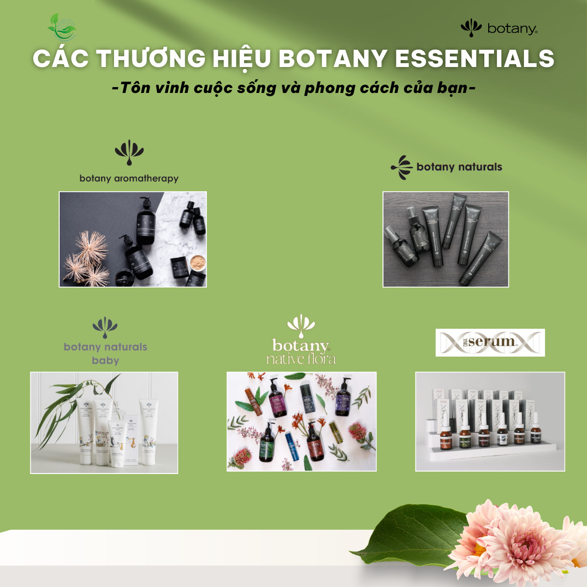 KEM DƯỠNG DA TAY BOTANY- kháng viêm, hồi phục da, dưỡng da sáng mịn- hoa hồng tinh khiết