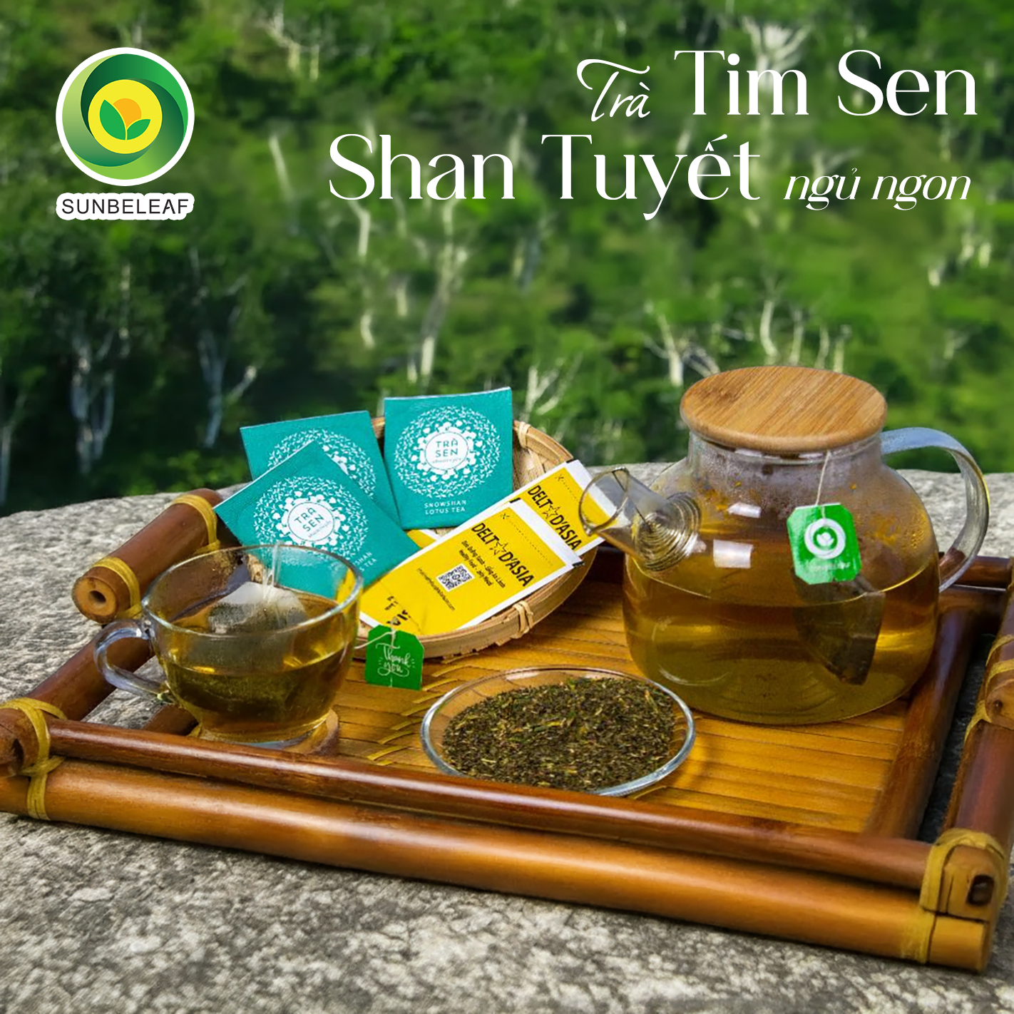 Trà Tim Sen Shan Tuyết Cổ Thụ Sunbeleaf – Thích Hợp Cho Người Chú Trọng Lối Sống Điều Độ Và Sức Khỏe Bên Trong – Hộp 20 Gói Túi Lọc