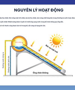 Máy nước nóng Năng lượng mặt trời TA-GO 58-24 240L (Phân phối từ khu vực Bình Định trở ra phía Bắc )