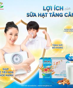 Sữa hạt cho người gầy