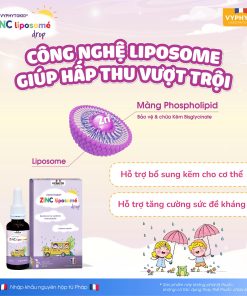 Thực phẩm bảo vệ sức khỏe VYPHYTOKID ZINC liposomé drop hỗ trợ bổ sung kẽm