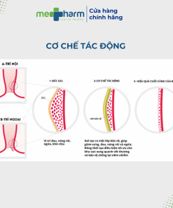 Gel bôi trĩ RECTOVENAL®ACUTE (Tuýp 30g)