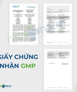 Gel bôi trĩ RECTOVENAL®ACUTE (Tuýp 30g)