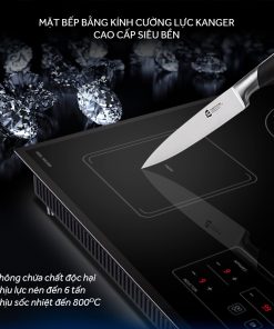 Bếp ba 2 điện từ 1 hồng ngoại Nagakawa NAG1253M