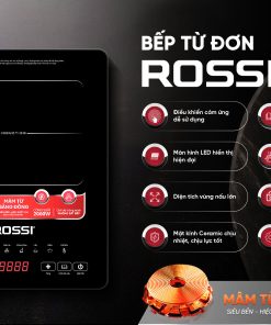 Bếp từ đơn Rossi RS-1020CE01