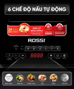 Bếp từ đơn Rossi RS-1020CE01