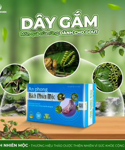 TPBVSK An Phong Bách Nhiên Mộc hỗ trợ giảm acid uric, giảm sưng đau do gout (Hộp 60 viên)