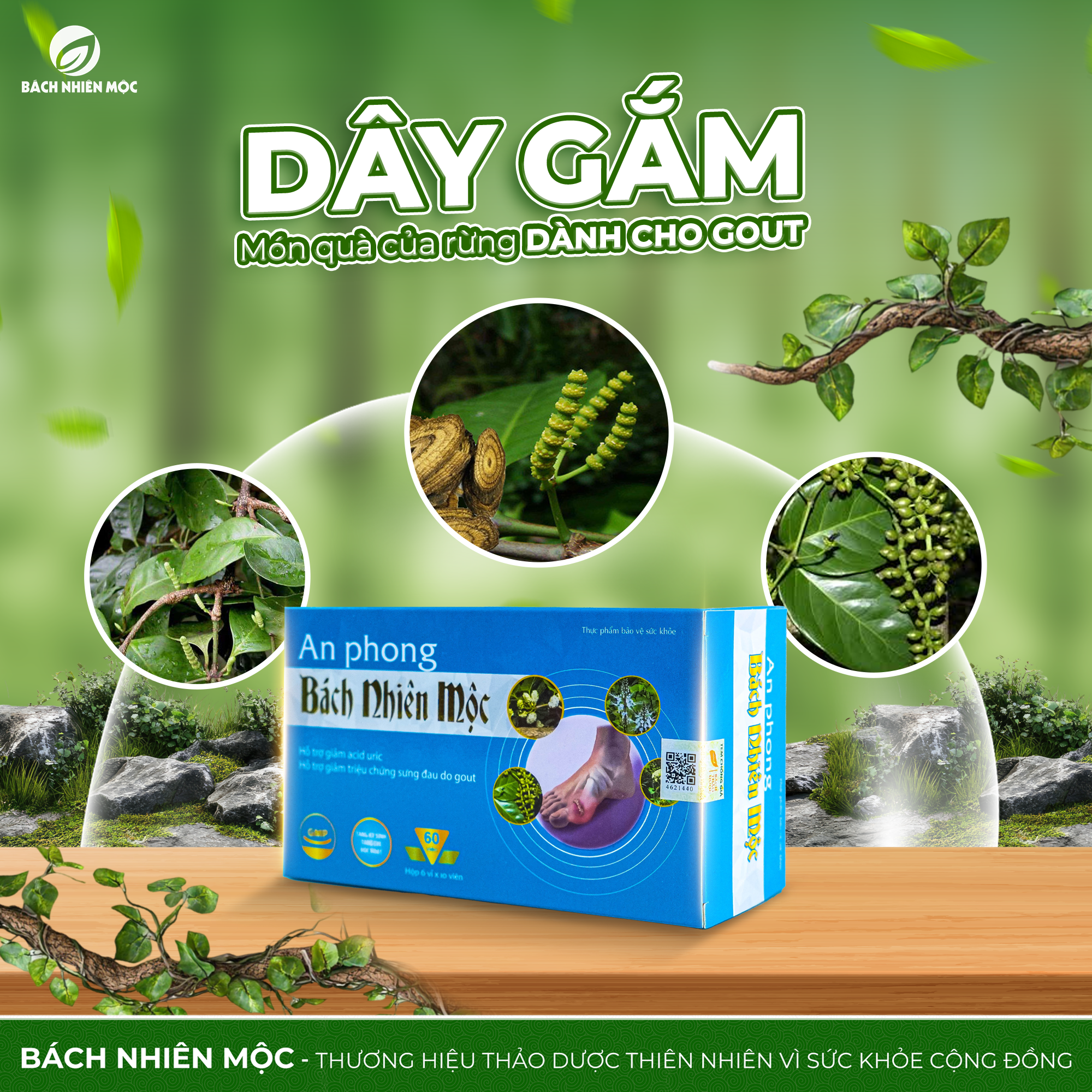 TPBVSK An Phong Bách Nhiên Mộc hỗ trợ giảm acid uric, giảm sưng đau do gout (Hộp 60 viên)