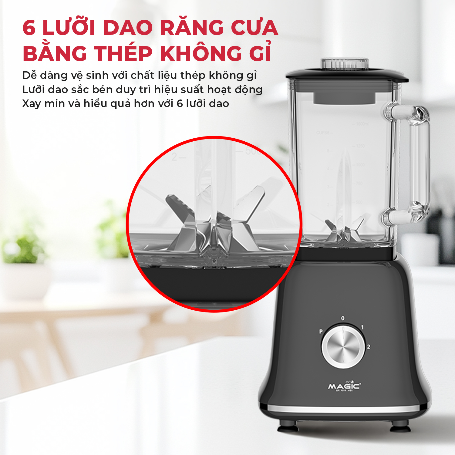 Máy xay sinh tố Magic Eco AC-182