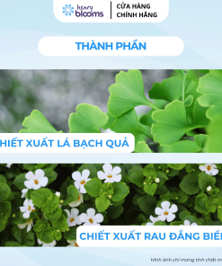 Viên uống hỗ trợ hoạt huyết HENRY BLOOMS Ginkgo & Brahmi 3000 tăng cường tuần hoàn máu não (hộp 60 viên)