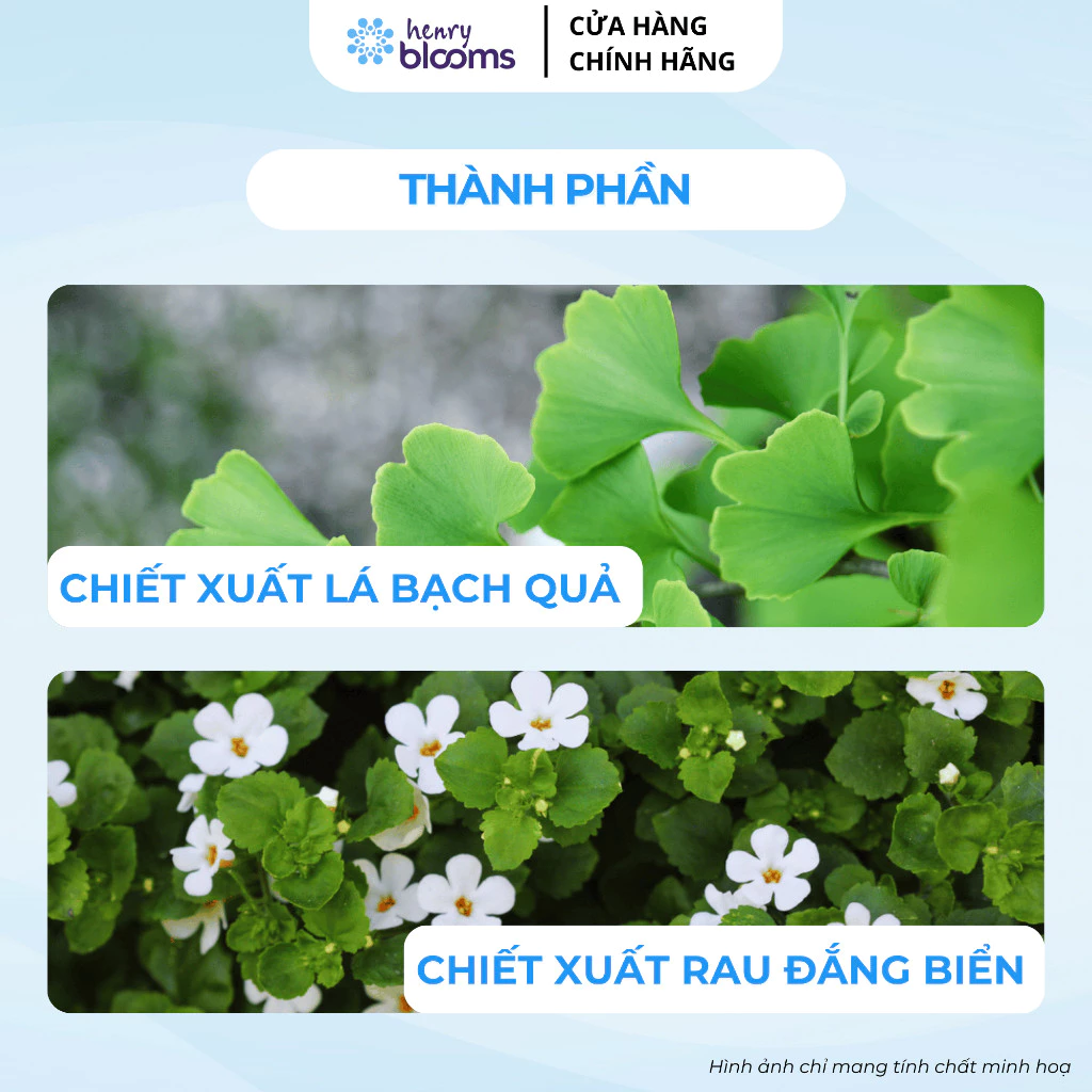 Viên uống hỗ trợ hoạt huyết HENRY BLOOMS Ginkgo & Brahmi 3000 tăng cường tuần hoàn máu não (hộp 60 viên)