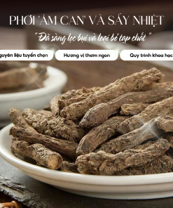 Trà Sâm Tiên Mao Sunbeleaf (Sâm Cau Đen) – Duy Trì Sinh Lực, Trà Đầy Năng Lượng – Hộp 20 Gói