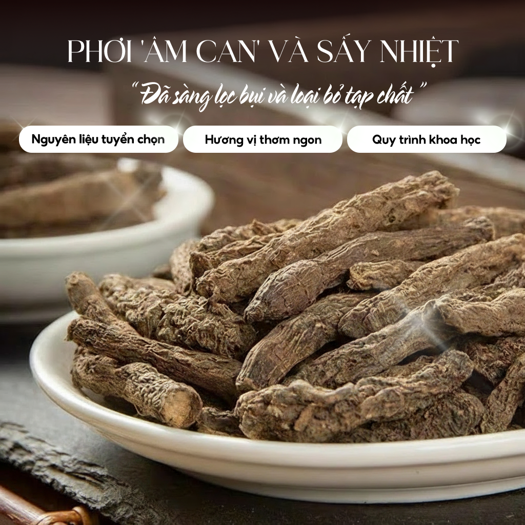 Trà Sâm Tiên Mao Sunbeleaf (Sâm Cau Đen) – Duy Trì Sinh Lực, Trà Đầy Năng Lượng – Hộp 20 Gói