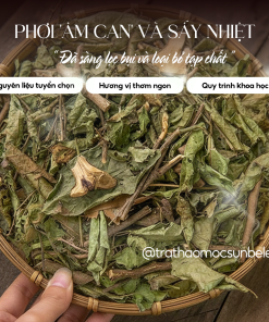 Trà Xạ Đen Hòa Bình Sunbeleaf – Dành Cho Người Chú Trọng Chăm Sóc Sức Khỏe Và Lối Sống Thanh Lọc Tự Nhiên – Hộp 20 Gói