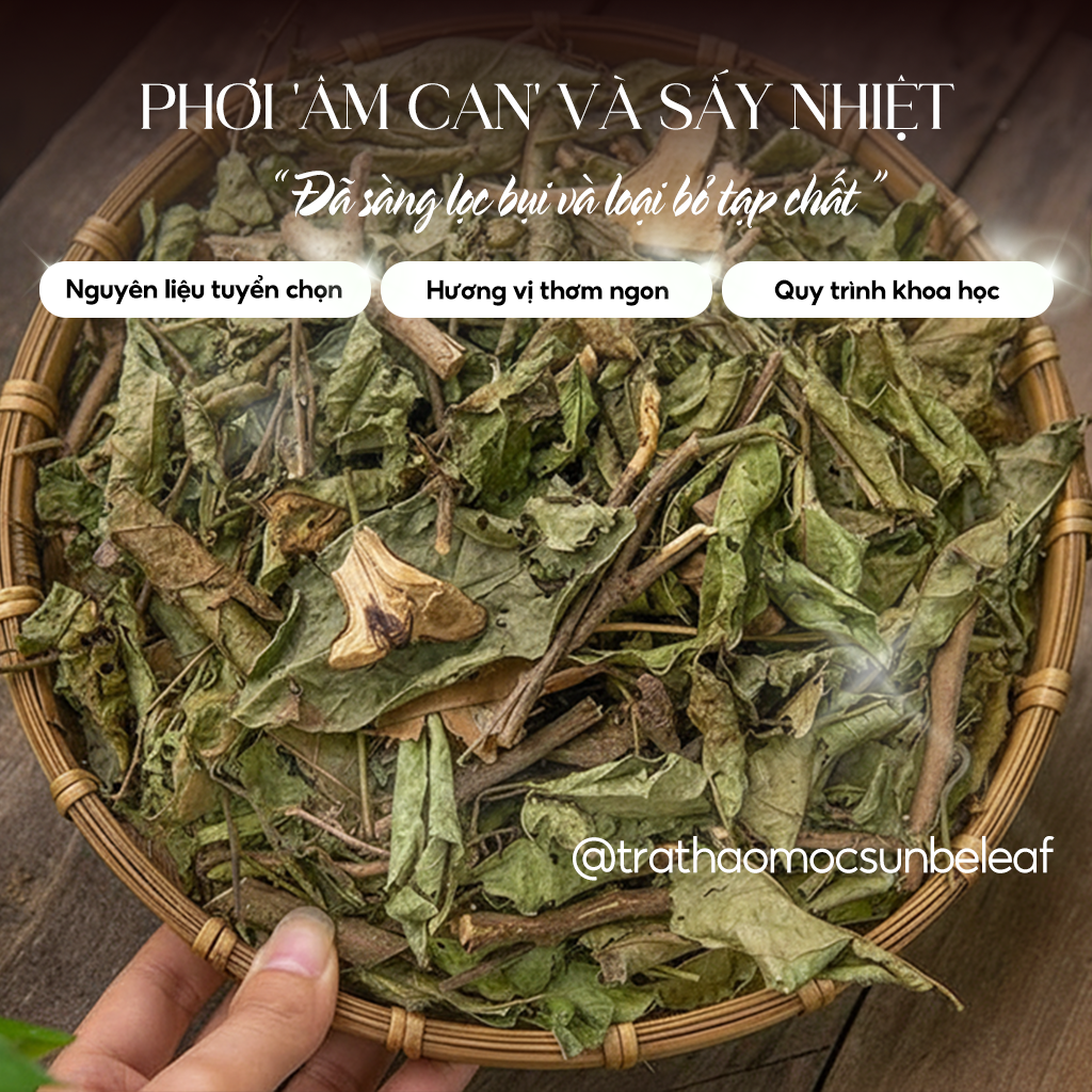 Trà Xạ Đen Hòa Bình Sunbeleaf – Dành Cho Người Chú Trọng Chăm Sóc Sức Khỏe Và Lối Sống Thanh Lọc Tự Nhiên – Hộp 20 Gói