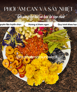 Trà Gạo Lứt 8 Vị Sunbeleaf – Trà Thảo Mộc Thanh Lọc- Túi Zip 20 Gói