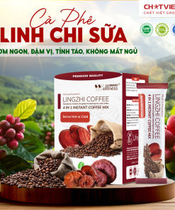 Cà phê bào tử Linh Chi phá vách – Giúp tỉnh táo, vị sữa (20 gói x 18g)