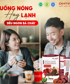 Cà phê bào tử Linh Chi phá vách – Giúp tỉnh táo, vị sữa (20 gói x 18g)