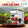 Cà phê bào tử Linh Chi phá vách – Giúp tỉnh táo (20 gói x 15g)