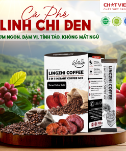Cà phê bào tử Linh Chi phá vách – Giúp tỉnh táo (20 gói x 15g)
