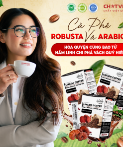 Cà phê bào tử Linh Chi phá vách – Giúp tỉnh táo (20 gói x 15g)