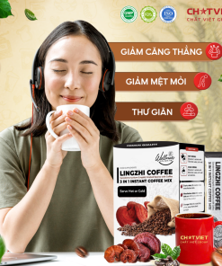 Cà phê bào tử Linh Chi phá vách – Giúp tỉnh táo (20 gói x 15g)
