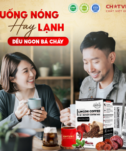 Cà phê bào tử Linh Chi phá vách – Giúp tỉnh táo (20 gói x 15g)