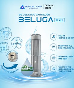 Lõi lọc đầu nguồn 250M3