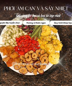 Trà Dưỡng Nhan 7 Vị Long Nhãn Sunbeleaf – Hương Vị Dịu Ngọt, Mang Lại Cảm Giác Thư Thái, Tươi Mới Mỗi Ngày – Túi Zip 20 Gói