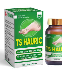 TPBVSK TS HAURIC HỘP 60V