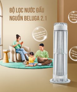 Bộ lọc đầu nguồn Beluga B2.1-250