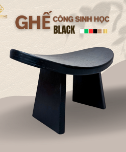 Ghế Công Sinh Học BLACK