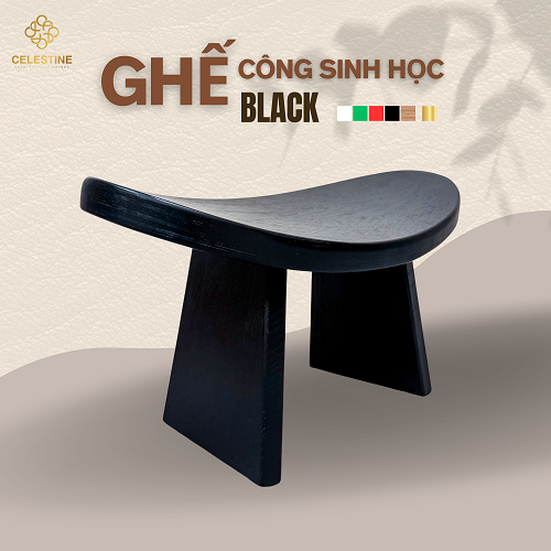 Ghế Công Sinh Học BLACK