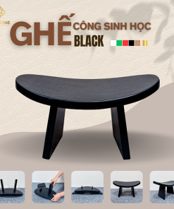 Ghế Công Sinh Học BLACK