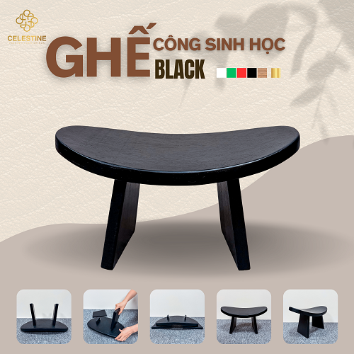 Ghế Công Sinh Học BLACK