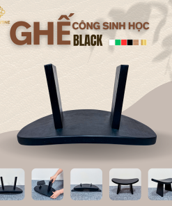 Ghế Công Sinh Học BLACK