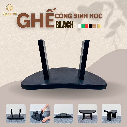 Ghế Công Sinh Học BLACK
